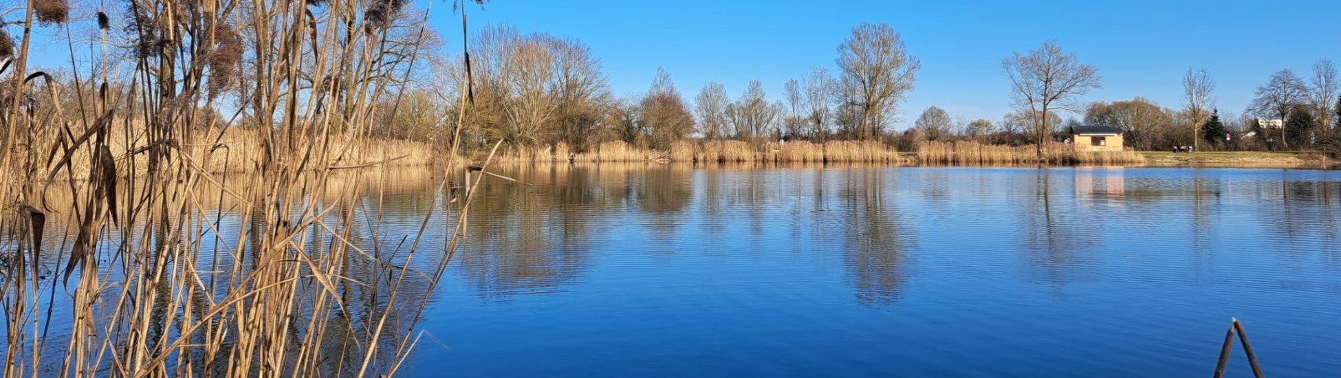 Fotos Wasserwacht Manching