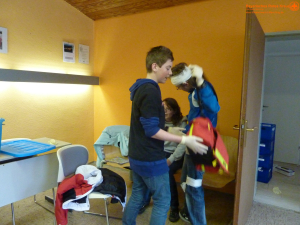Bild