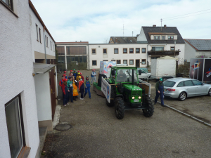 Bild