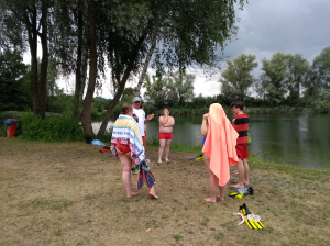 Bild