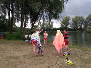 Bild